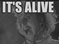 c23d9592-df0b-4cdb-9770-27a5acdc0287