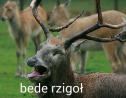 47c9f2b6-af79-4050-afd9-c6dc39f2350f