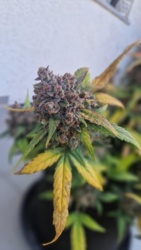 14704710-e91a-4ed9-b040-55022e54d504