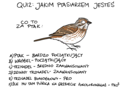 0ff655c5-6c5f-4ab0-84c3-4a3318eb31c6