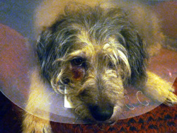 764ffb31-f4f0-4e30-971f-200259cc6e0e