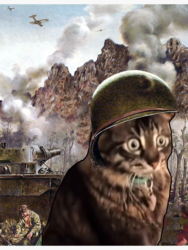 9b4a6d31-4246-4905-bdbe-013a85379aa4