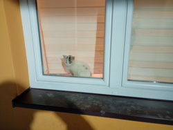 b72618c3-b6fd-4e79-a211-e4e83c7208be