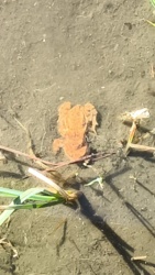 deb514a8-e30c-435c-8439-d8868e88c183