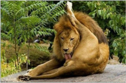 9012b151-7c7a-49ab-b8d1-d97531b6a48d