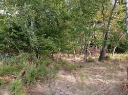 90dfe65f-e968-4e30-9a5e-9df05d06d4cc