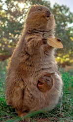 30131f9f-9e32-43c2-aaf2-f8059fa4151a