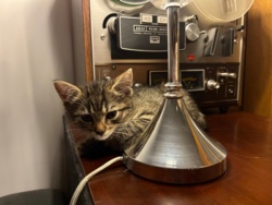 2ddac051-cc0e-4668-8a0e-50fd03dcd82c