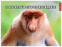 f725405f-a164-476f-b995-8e23afa0a855