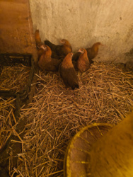 e8643caa-d284-4131-b921-3277829be2c8