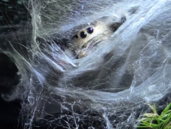 7b1eb4c6-548e-4d41-abda-6152a1924452