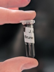 66916156-0083-478e-8f38-756d777ddfee