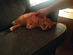 7fe61c17-bd40-4b8e-a879-5a8c34fd7624