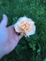 705aecf1-da76-494a-876b-0f7319e96570