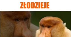 c56e31da-aeec-403e-9758-4eae0f9dc389