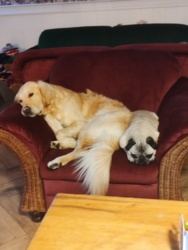 7ee42446-204f-4bde-99c8-0fa9e529f098