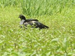 49c03f7a-da67-4138-a5ca-9bcba6763044