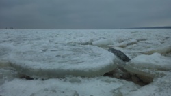 d348c7f0-6d0e-419b-92e1-9e64889427a3