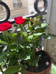 f24b8dbb-60bb-4084-abee-86ebcd47bf58