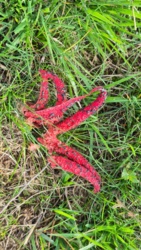 0c28eb72-0753-4d1d-9f48-7d6bc9fff654