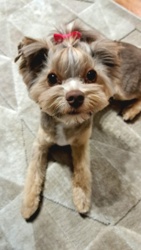 f74def31-daa9-441a-b1e2-50de9d4dd119