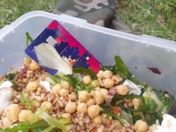 d4c5351d-5c26-459c-bbec-e1389e453432