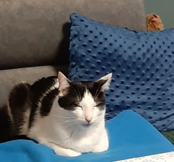 826d93b2-df6e-4caf-8449-15e46a776985