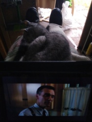 d90d7ed0-c715-40f1-b0f7-a92e278ccccc