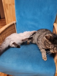 25ee1a3b-b437-4e80-9770-fbfa451ef95a