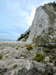 0518051d-9214-4dc1-aa23-fa695d9f2462