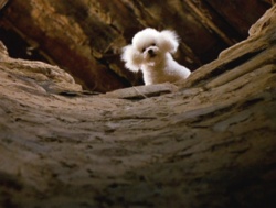 ee67d072-1971-42c1-8b81-e76344f7c55b