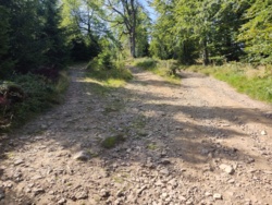 472c33a2-6112-4044-a904-f1e323639d8c