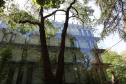 3cae1bd5-2928-498f-89af-4559d5a15ba2