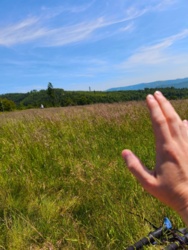 74cca5c9-27b7-425c-82c8-59768312df42