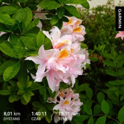 aa3fdc00-f400-44d6-a6d5-2c5dd0df2b5b