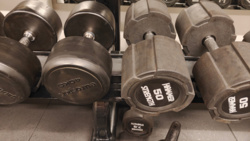 e286e2b7-4aef-45ad-bb44-0338d5bcfccd