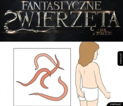 2cb9cd09-d0cd-42ec-a87d-d23125420f54