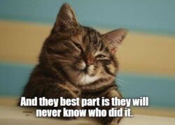 466ac6d9-8242-46e1-be91-3620e93dceac