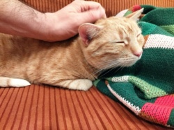 08658eac-9adc-48a4-9ed0-f730dc5192b9