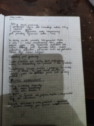 86429b4c-e0ec-4d26-933c-6818c52de656