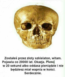 84be2b58-22fe-4dfa-b316-312ec197d419