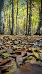 6d059b60-d09e-46d5-b89e-3537a3a58c21