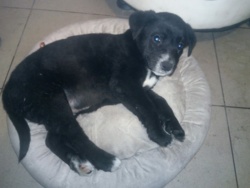 54db3790-efeb-4b96-858a-44df4809db19