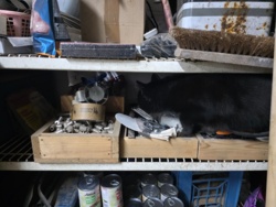 c81c71ad-948e-4c7d-86e3-a3e05a41d97e