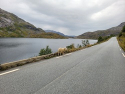 0383e43a-8c06-45e8-9ef9-304d6ccbb488