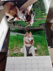 be05d901-dabe-415c-b1f9-dd5c7e59da1d