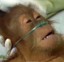 6a13b9bd-df98-4f7a-99bf-bdd2f1696358