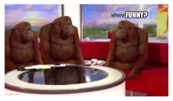 b638a321-3764-4899-bd70-4809e94abbe0