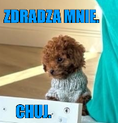 46df2807-659d-418b-9c1f-e04206022917