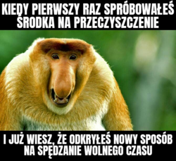 f35d5ab0-36d4-4279-9d55-7d5f844f3eb4